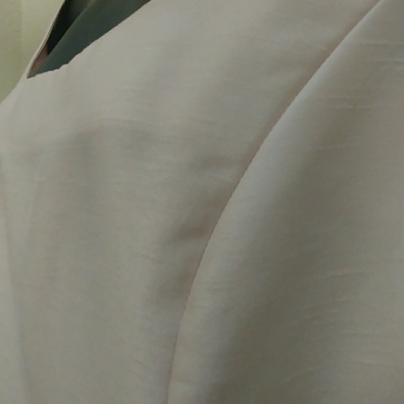 Apostrophe A line Shantung Sheath Dress - Picture 6 of 7